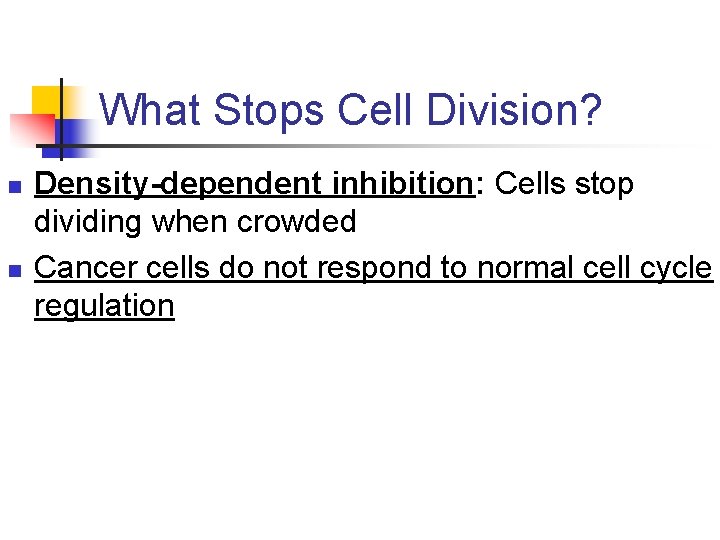 What Stops Cell Division? n n Density-dependent inhibition: Cells stop dividing when crowded Cancer