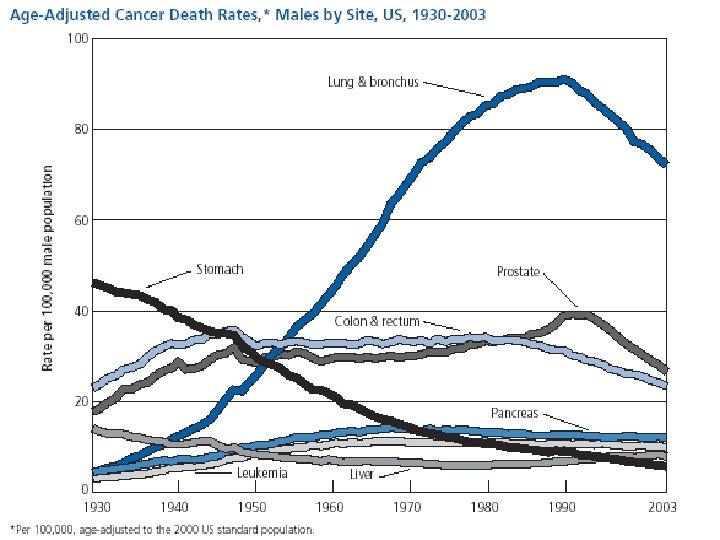 Common Forms of Cancer 