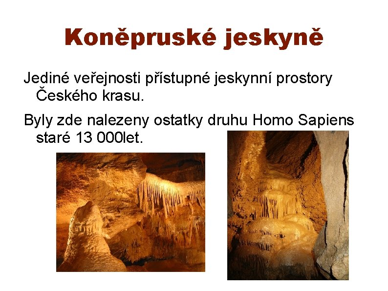 Koněpruské jeskyně Jediné veřejnosti přístupné jeskynní prostory Českého krasu. Byly zde nalezeny ostatky druhu