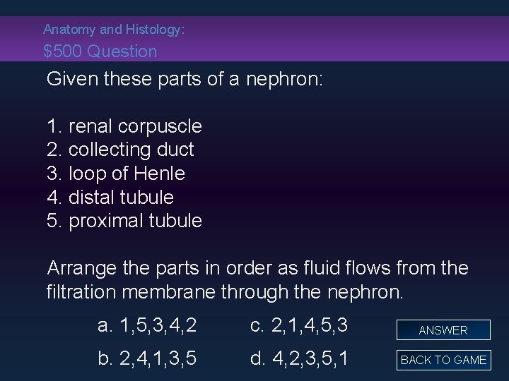 Anatomy and Histology: $500 Question Given these parts of a nephron: 1. renal corpuscle