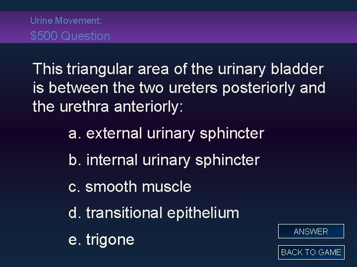 Urine Movement: $500 Question This triangular area of the urinary bladder is between the