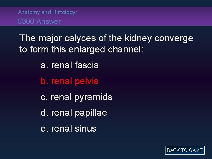 Anatomy and Histology: $300 Answer The major calyces of the kidney converge to form