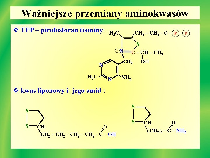 Ważniejsze przemiany aminokwasów v TPP – pirofosforan tiaminy: H 3 C | CH 2