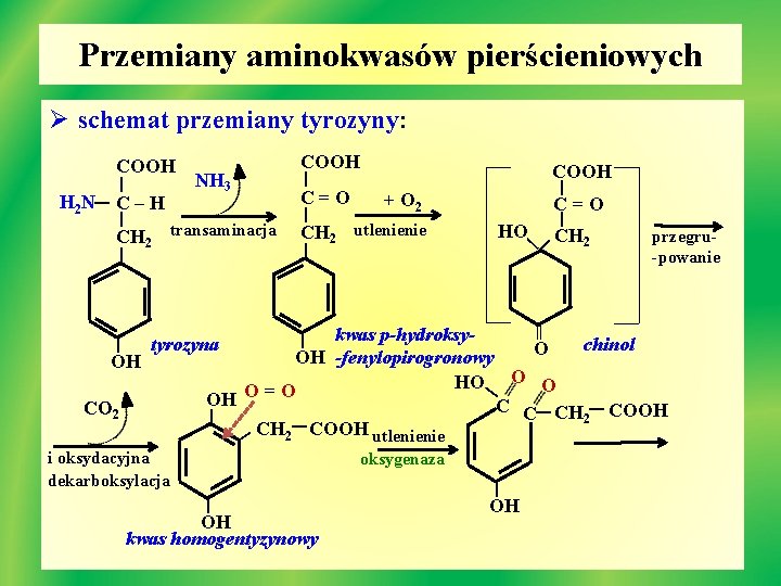 Przemiany aminokwasów pierścieniowych Ø schemat przemiany tyrozyny: COOH C–H | C=O transaminacja | C=O