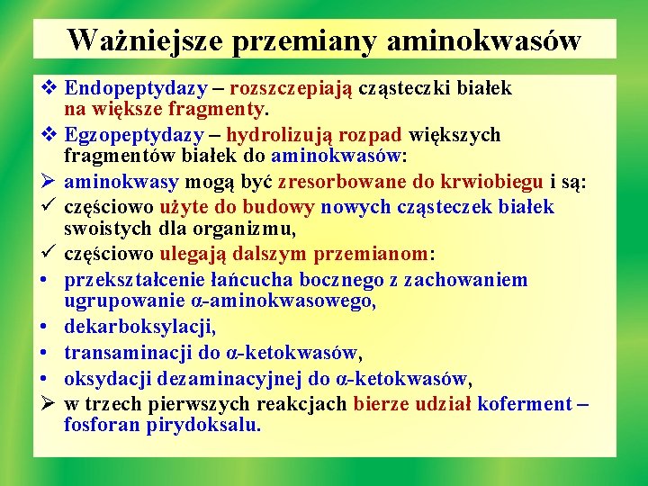 Ważniejsze przemiany aminokwasów v Endopeptydazy – rozszczepiają cząsteczki białek na większe fragmenty. v Egzopeptydazy