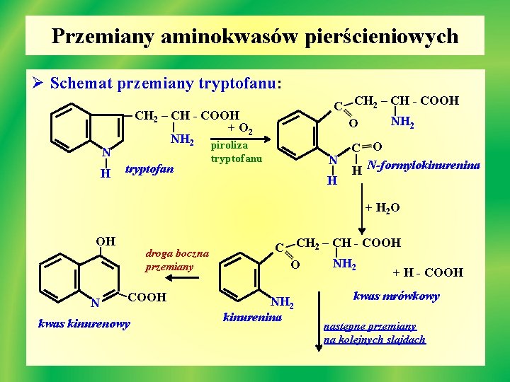 Przemiany aminokwasów pierścieniowych Ø Schemat przemiany tryptofanu: | - COOH C CH 2 –