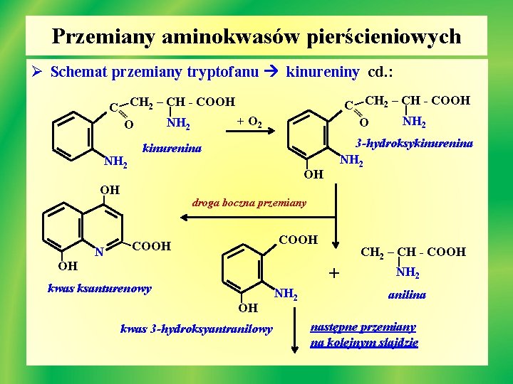 Przemiany aminokwasów pierścieniowych Ø Schemat przemiany tryptofanu kinureniny cd. : - COOH C CH
