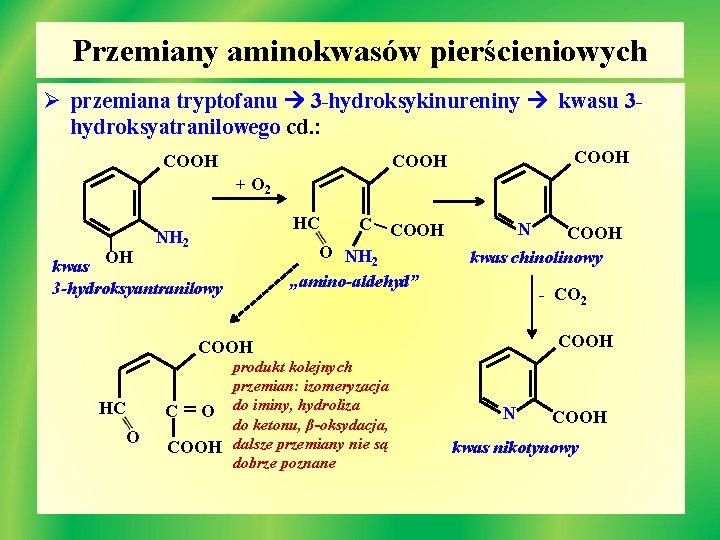 Przemiany aminokwasów pierścieniowych Ø przemiana tryptofanu 3 -hydroksykinureniny kwasu 3 hydroksyatranilowego cd. : COOH