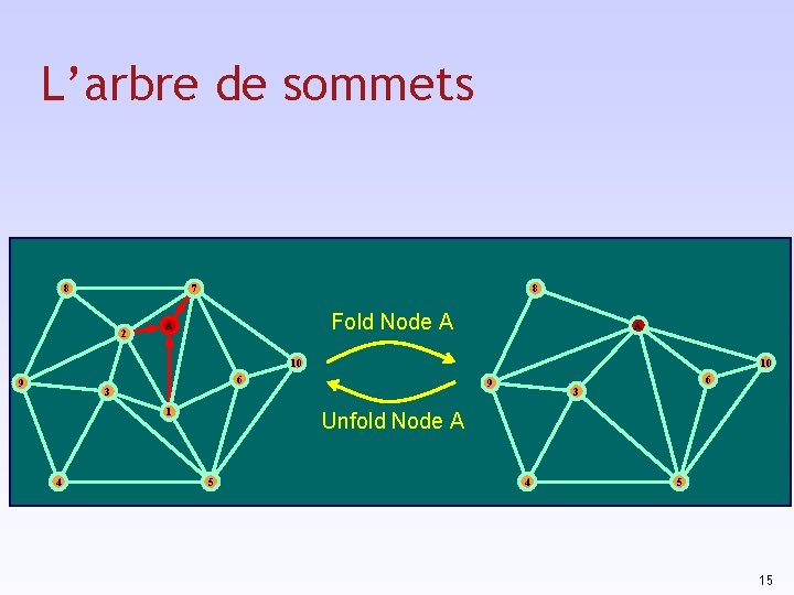 L’arbre de sommets 8 7 2 8 Fold Node A A A 10 10