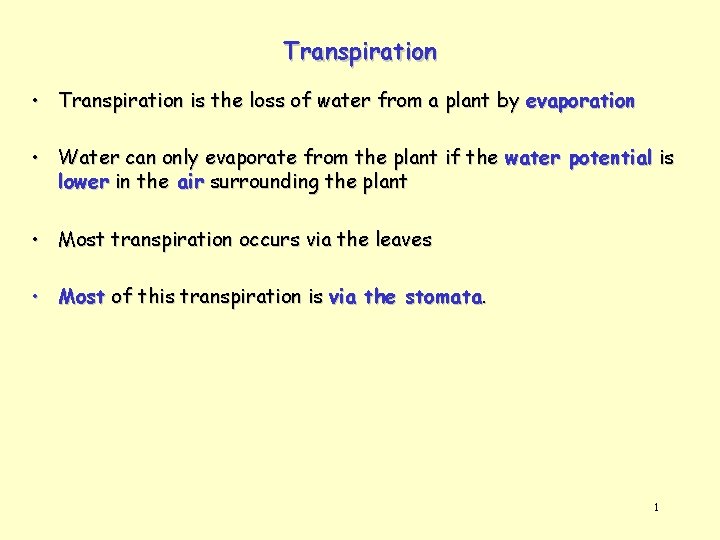 Transpiration • Transpiration is the loss of water from a plant by evaporation •