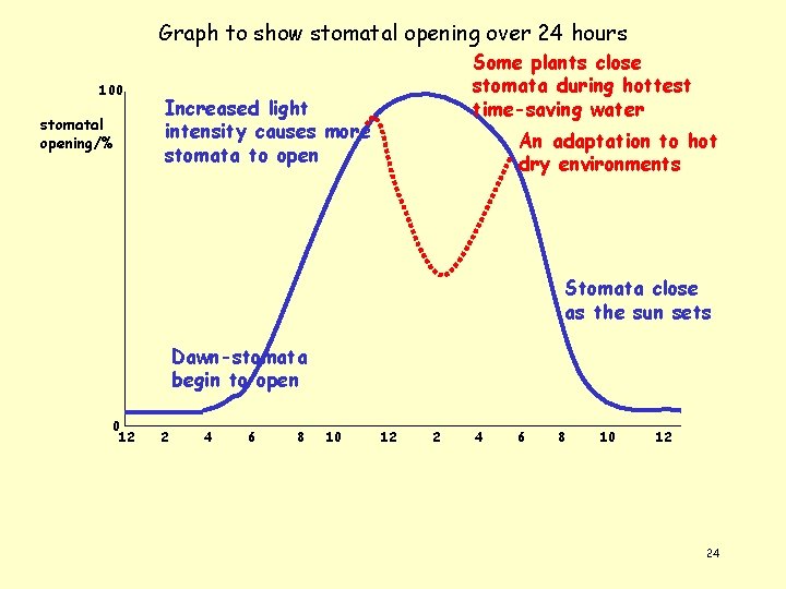 Graph to show stomatal opening over 24 hours 100 stomatal opening/% Some plants close
