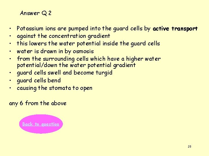 Answer Q 2 • • • Potassium ions are pumped into the guard cells