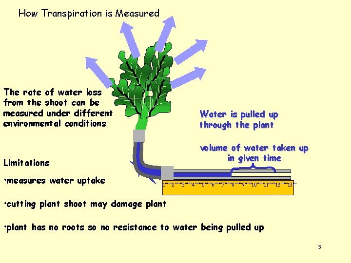 How Transpiration is Measured The rate of water loss from the shoot can be