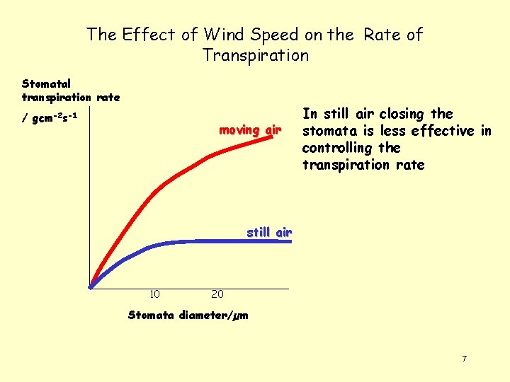 The Effect of Wind Speed on the Rate of Transpiration Stomatal transpiration rate /