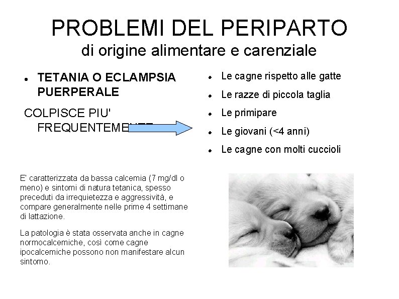 PROBLEMI DEL PERIPARTO di origine alimentare e carenziale TETANIA O ECLAMPSIA PUERPERALE COLPISCE PIU' PROBLEMI DEL PERIPARTO di origine alimentare e carenziale TETANIA O ECLAMPSIA PUERPERALE COLPISCE PIU'