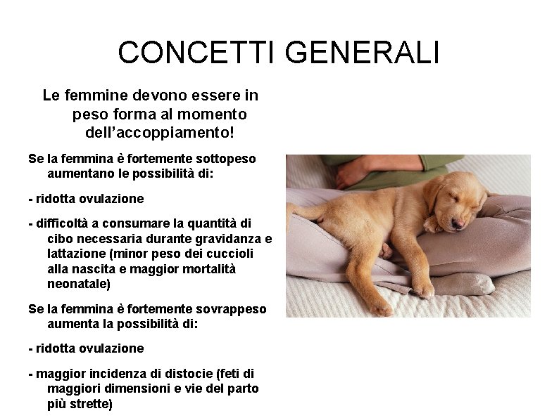 CONCETTI GENERALI Le femmine devono essere in peso forma al momento dell’accoppiamento! Se la