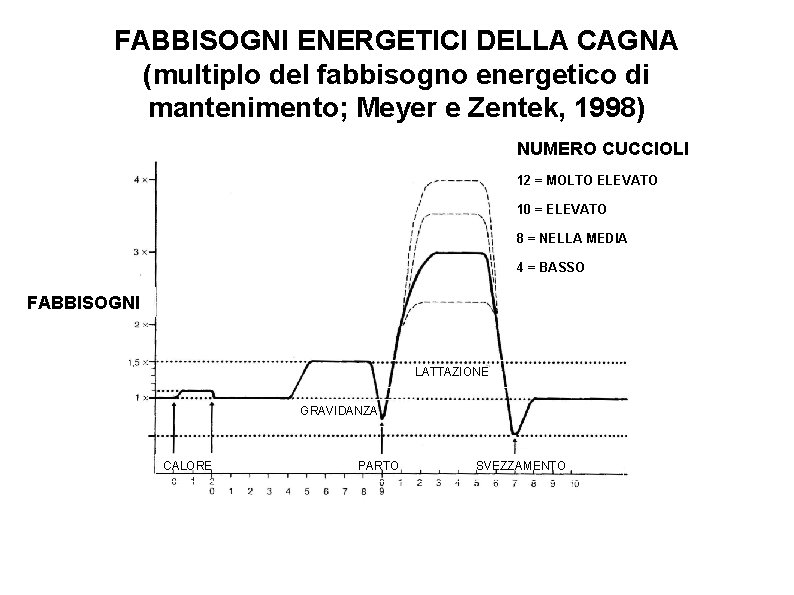 FABBISOGNI ENERGETICI DELLA CAGNA (multiplo del fabbisogno energetico di mantenimento; Meyer e Zentek, 1998)