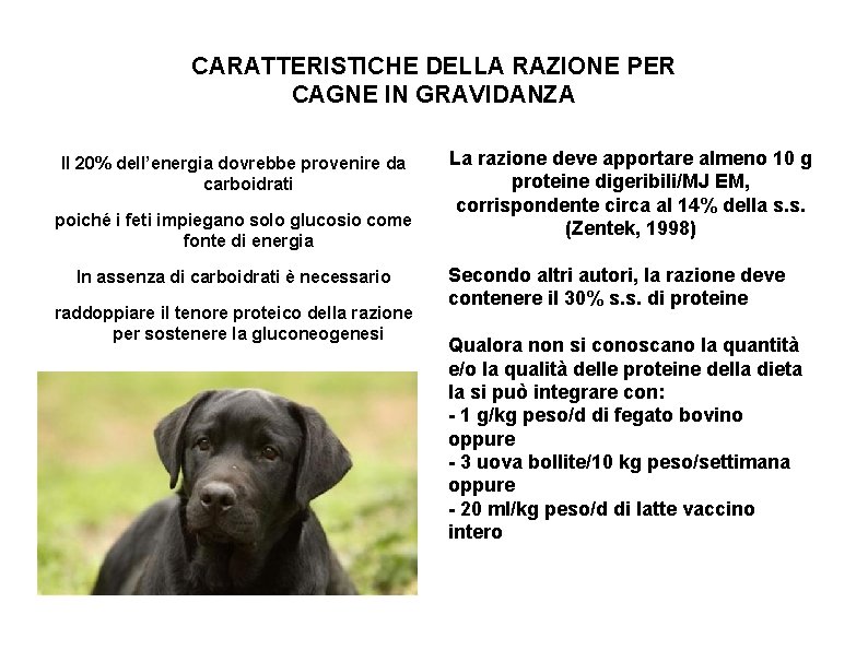 CARATTERISTICHE DELLA RAZIONE PER CAGNE IN GRAVIDANZA Il 20% dell’energia dovrebbe provenire da carboidrati