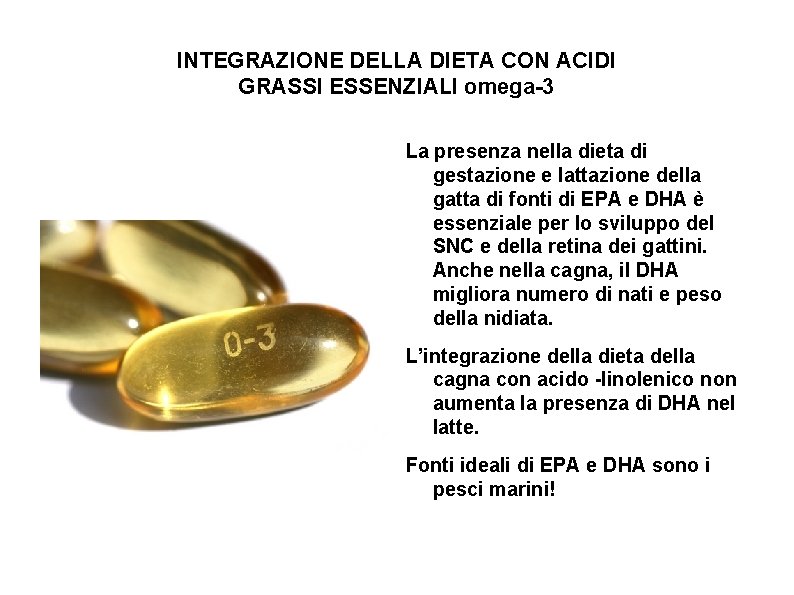 INTEGRAZIONE DELLA DIETA CON ACIDI GRASSI ESSENZIALI omega-3 La presenza nella dieta di gestazione