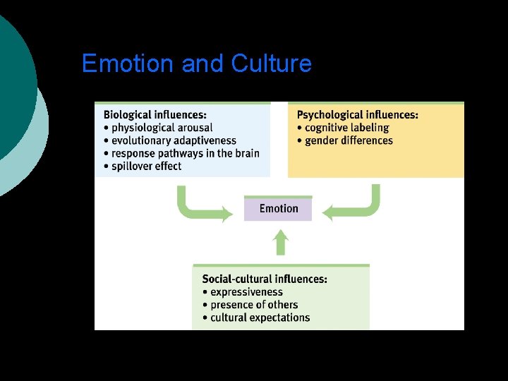 Emotion and Culture 