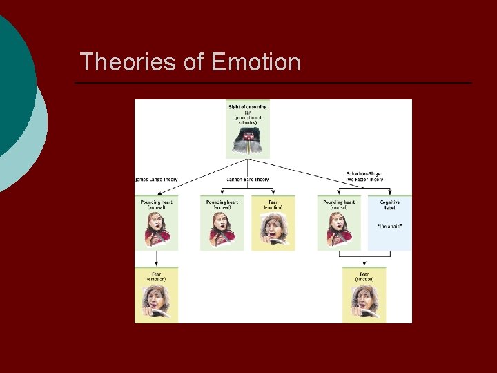 Theories of Emotion 