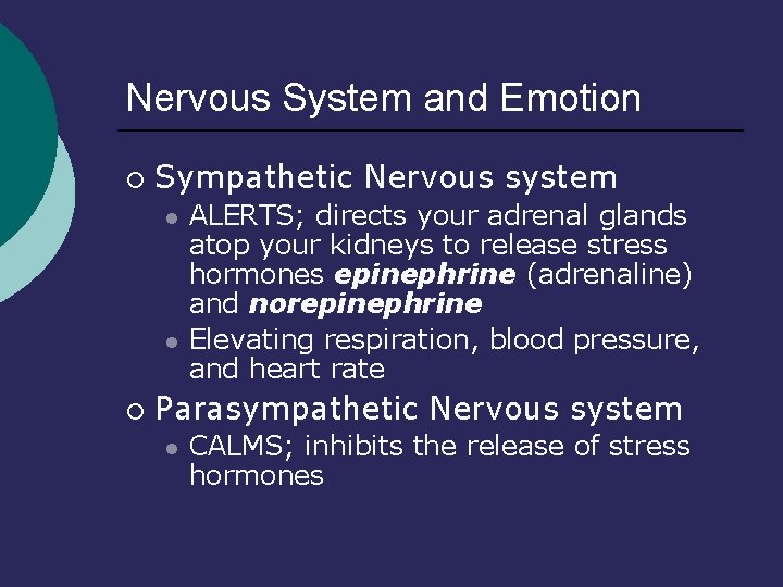 Nervous System and Emotion Sympathetic Nervous system l l ALERTS; directs your adrenal glands