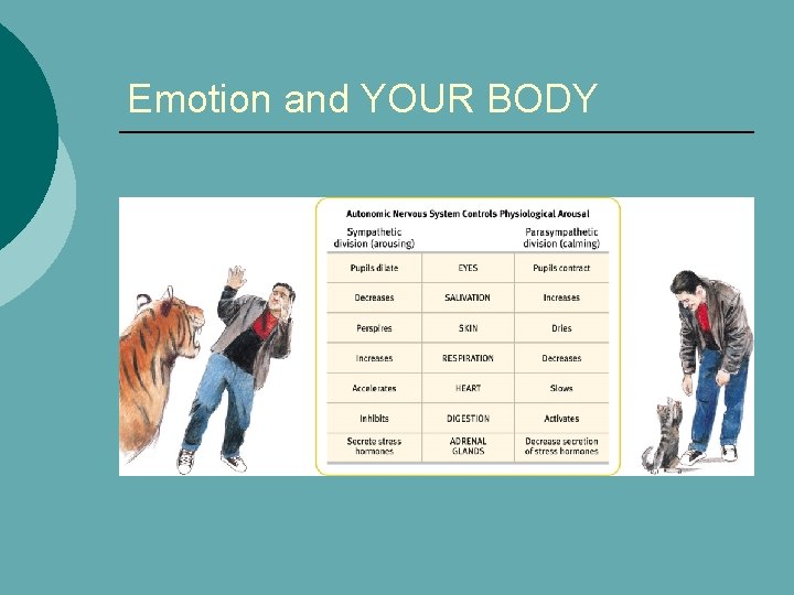 Emotion and YOUR BODY 