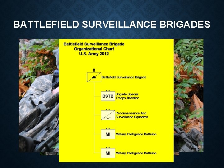 BATTLEFIELD SURVEILLANCE BRIGADES 