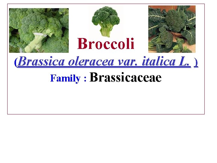 Broccoli (Brassica oleracea var. italica L. ) Family : Brassicaceae 