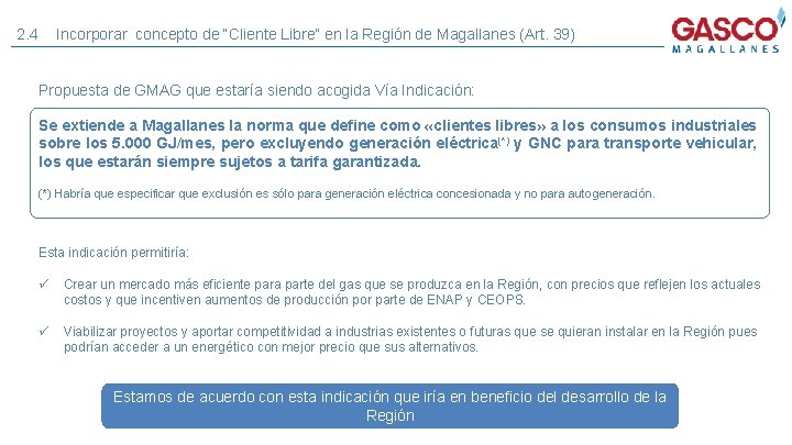 2. 4 Incorporar concepto de “Cliente Libre” en la Región de Magallanes (Art. 39)