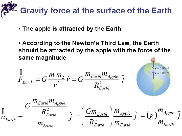 Gravity force at the surface of the Earth • The apple is attracted by
