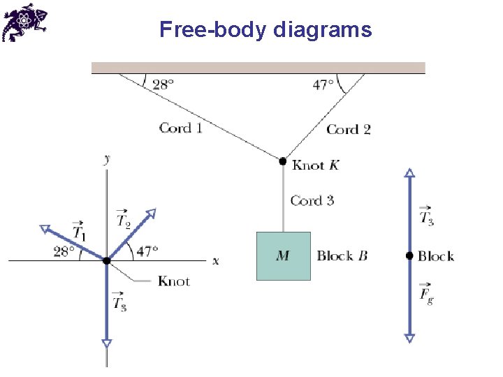 Free-body diagrams 