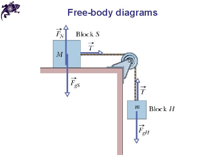 Free-body diagrams 
