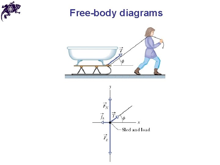 Free-body diagrams 