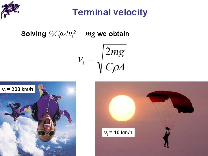 Terminal velocity Solving ½CρAvt 2 = mg we obtain vt = 300 km/h vt