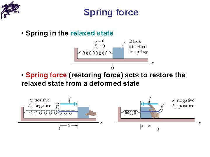 Spring force • Spring in the relaxed state • Spring force (restoring force) acts