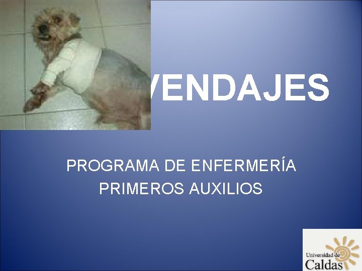 VENDAJES PROGRAMA DE ENFERMERÍA PRIMEROS AUXILIOS 