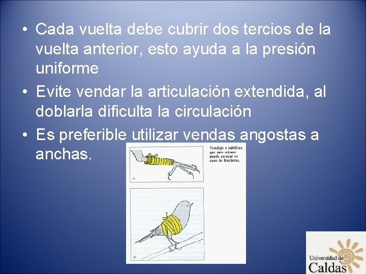  • Cada vuelta debe cubrir dos tercios de la vuelta anterior, esto ayuda