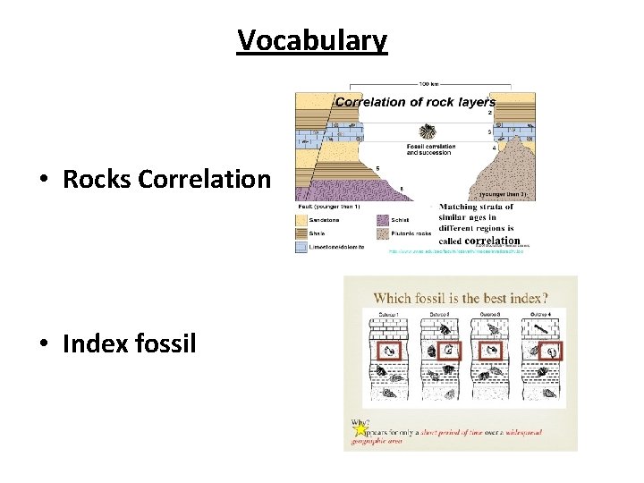 Vocabulary • Rocks Correlation • Index fossil 