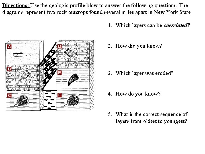 Directions: Use the geologic profile blow to answer the following questions. The diagrams represent