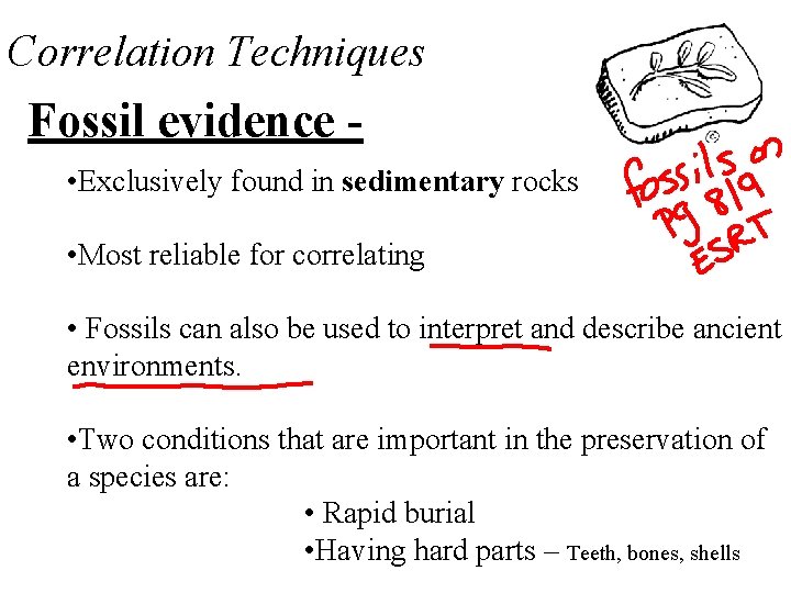 Correlation Techniques Fossil evidence • Exclusively found in sedimentary rocks • Most reliable for