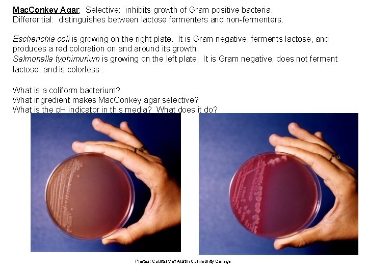 Mac. Conkey Agar: Selective: inhibits growth of Gram positive bacteria. Differential: distinguishes between lactose