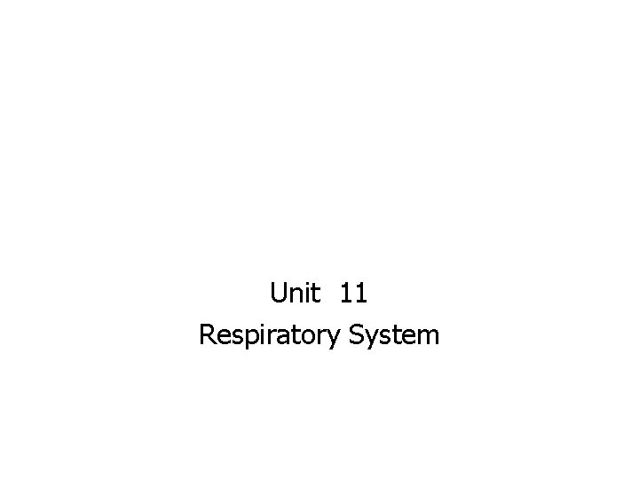 Unit 11 Respiratory System 