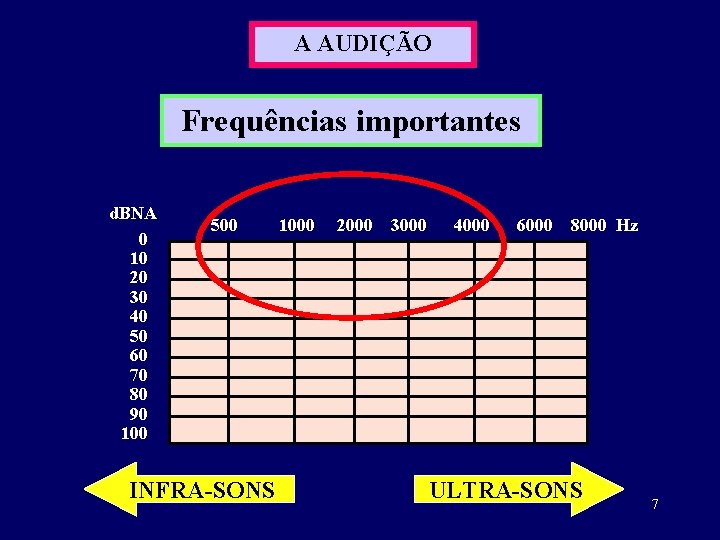 A AUDIÇÃO Frequências importantes d. BNA 0 10 20 30 40 50 60 70