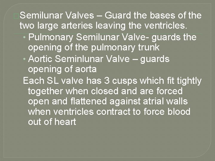 �Semilunar Valves – Guard the bases of the two large arteries leaving the ventricles.