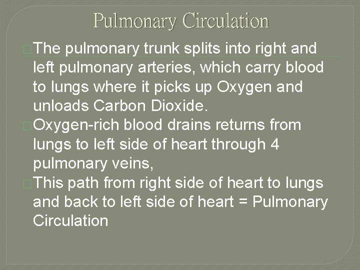 Pulmonary Circulation �The pulmonary trunk splits into right and left pulmonary arteries, which carry