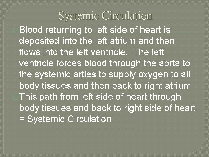 Systemic Circulation �Blood returning to left side of heart is deposited into the left