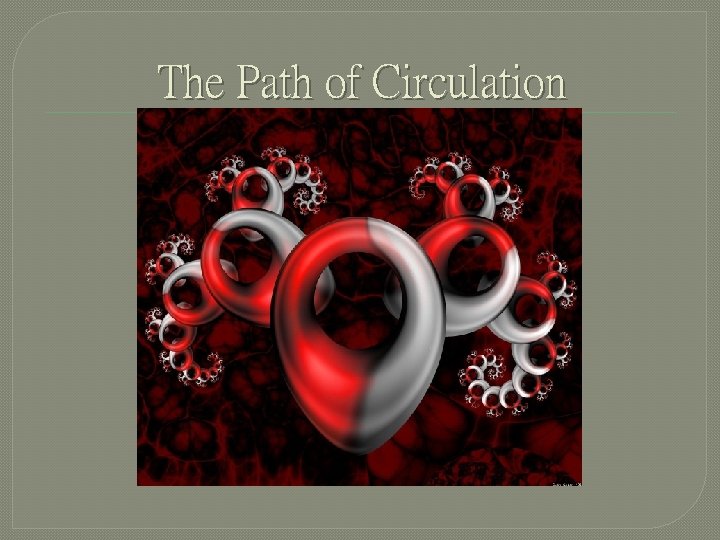 The Path of Circulation 