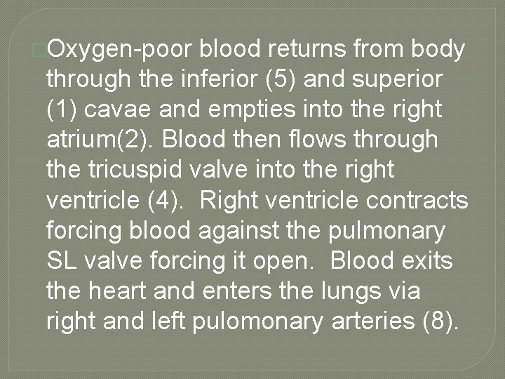 �Oxygen-poor blood returns from body through the inferior (5) and superior (1) cavae and