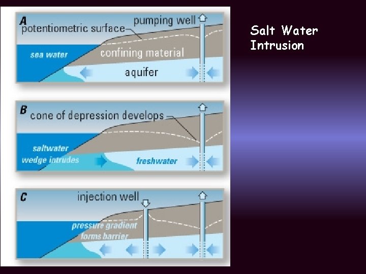 Salt Water Intrusion 